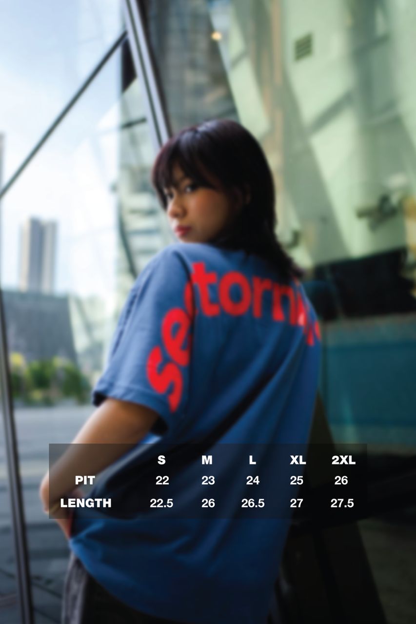 THE BIG ARCH NAVY - view 5